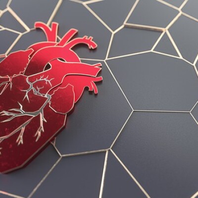 الشبكات القلبية | ما هي وكيف تتم وما مخاطرها؟